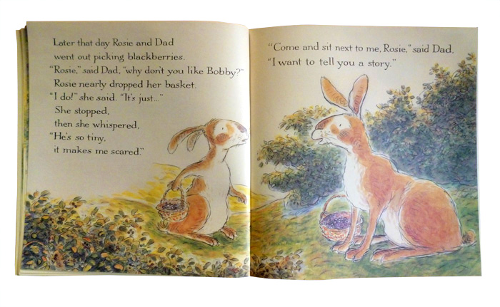 《团购:兔子绘本(2册》
