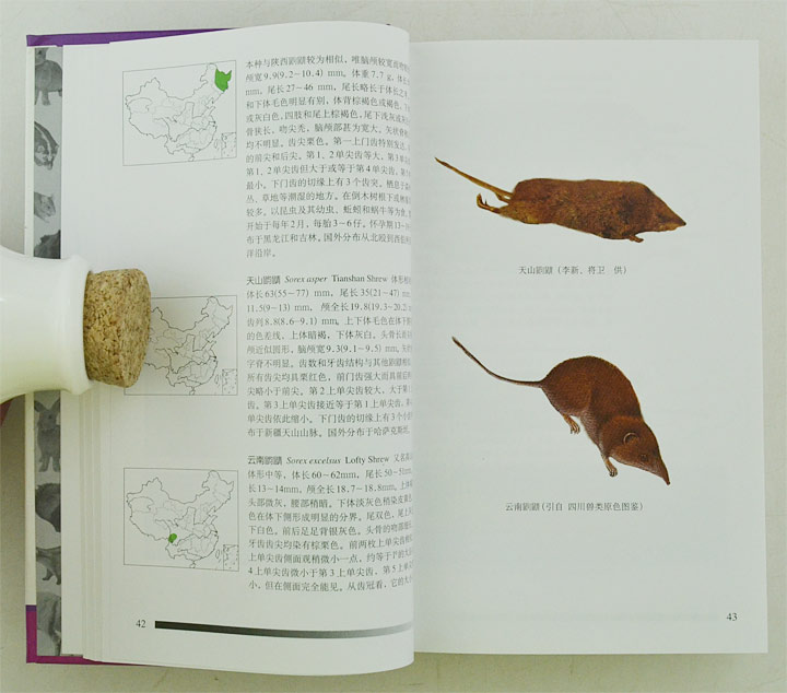 中国哺乳动物图鉴
