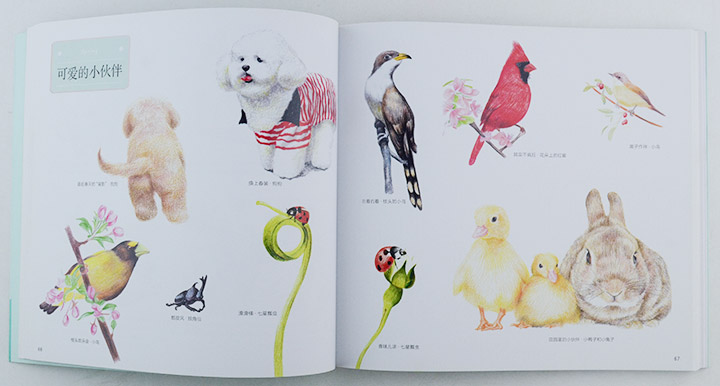 文玩-中国图书网:72色彩铅笔的四季之绘全四