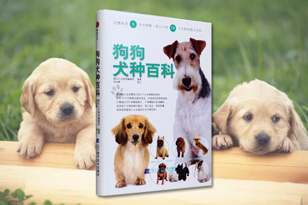 狗狗犬种百科