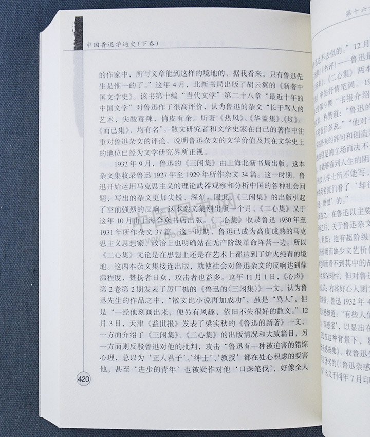 中国鲁迅学通史(二十世纪中国一种精神文化现象的宏观描述、微观透视与理性反思 全6册 中国文库第二辑)