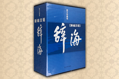 新编汉语辞海(2卷)