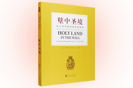 壁中圣境:高志勇西藏壁画影像精粹