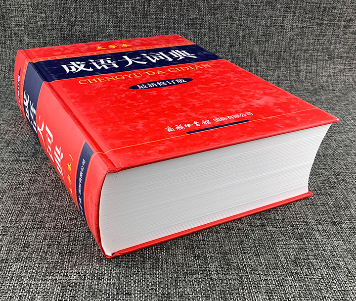 成语大词典-最新修订版-大字本