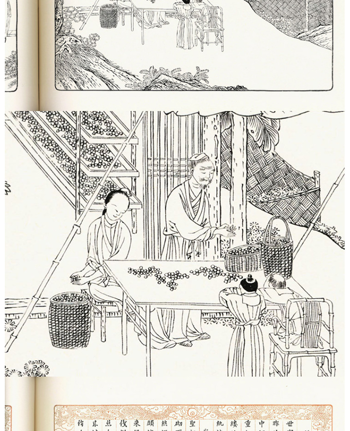 《佩文斋耕织图》+《耕织图》流变 -二本