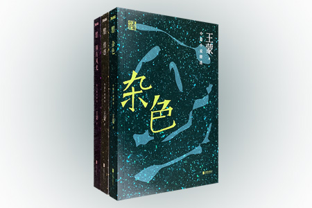 团购:王蒙精选集3册