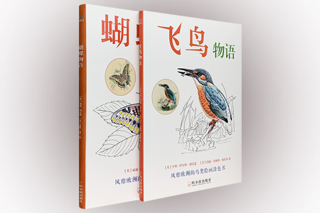 团购:蝴蝶物语+飞鸟物语