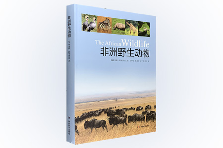 非洲野生动物