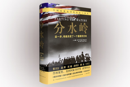 分水岭:美国民权运动的奋起与挣扎