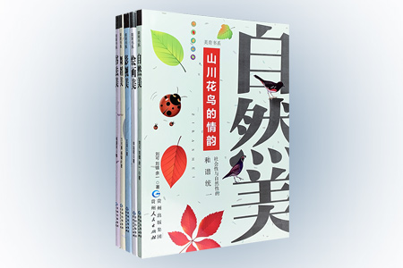 团购:美育书系5册