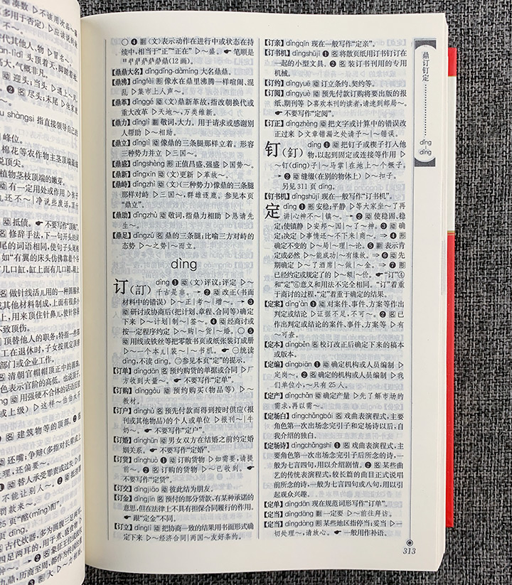 现代汉语规范词典-第2版-[买赠套装]