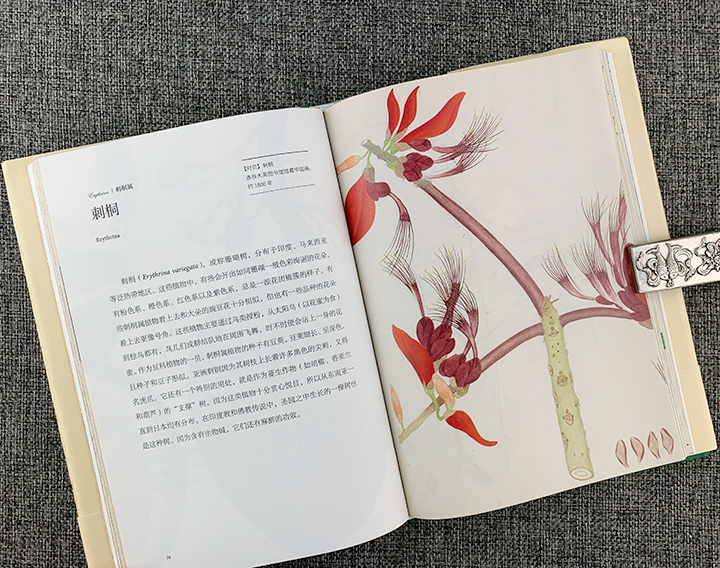 东方草木之美-绽放在西方的73种亚洲植物