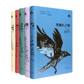 上海文艺出版社“黑莓文学”系列5册，荟萃当代欧美畅销小说《埋葬忍冬花的女孩》《残骸》《诡影的左手》《我们拥有的一切》《黑曜石之眼》。32开精装。