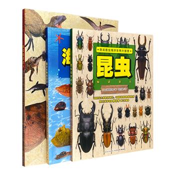 “恐龙昆虫海洋生物大搜查”全3册，16开铜版纸全彩，日本专家平山廉等人绘著。57个大搜查游戏+百幅精美照片和手绘插图，帮助小读者认识庞大的【恐龙】【昆虫】和【海洋生物】家族，了解它们绝妙的生存智慧。