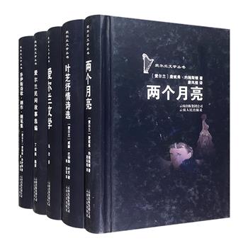 “爱尔兰文学丛书”5册：《叶芝抒情诗选》《乔伊斯诗歌·剧作·随笔集》《两个月亮》《爱尔兰文学》《爱尔兰民间故事选编》，32开精装，展现爱尔兰文学的独特魅力。