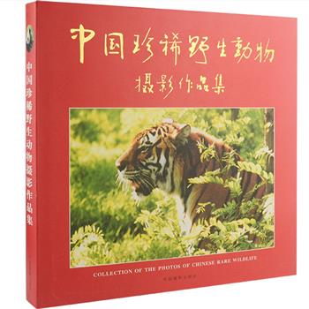 《中国珍稀野生动物摄影作品集》12开精装，铜版纸全彩，原农业部部长陈耀邦作序，是一部集知识性、艺术性、法规性、趣味性为一体的动物摄影大型画册，分哺乳动物、鸟、两栖爬行动物三大类，共收录了近50位摄影家的210幅精美的彩色照片，真实地再现了近300种珍稀野生动物的形态及风采。原价598元，现团购价69元包邮！