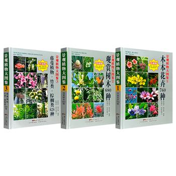 台湾引进！景观植物大图鉴【木本花卉】【观赏树木】【藤蔓植物·竹类·棕榈类】任选！每册从园艺、植物、自然和生态学角度，系统介绍600余种植物，文字简明通俗，照片赏心悦目。