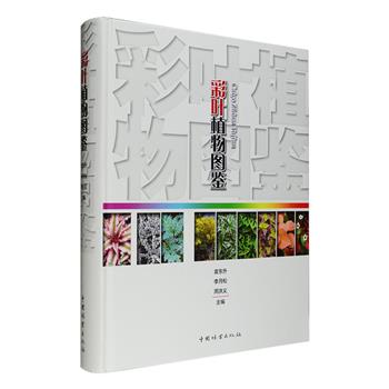 《彩叶植物图鉴》16开精装，铜版纸全彩，选编彩叶植物139科498属1580多种，是读者认识身边的彩叶植物及园林工作者、设计师的案头参考。