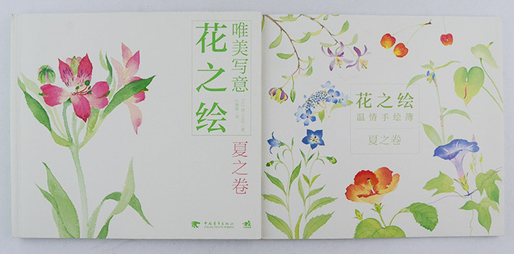 《團購:唯美寫意花之繪全4卷》