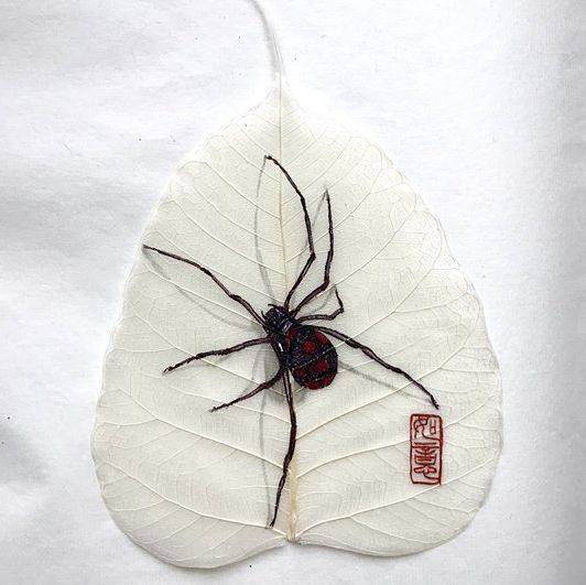 工笔菩提贝叶画蜘蛛