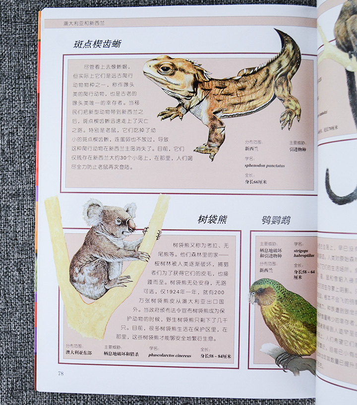 团购:濒危动物 昆虫蜘蛛 鸟类百科全书