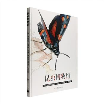 《昆虫博物馆》8开精装，全彩图文，这是一本集科普和绘画于一体的昆虫知识启蒙读物，兼具知识性、趣味性和美感。多种多样的昆虫以彩绘的形式呈现，小朋友不仅能够清楚地了解它们身体的构造，还可以学习如何亲手去绘制它们。科学的讲解和生动的文字，概括了昆虫的种类、特征、习性等，给孩子展现一个奇妙而神秘的昆虫世界，文中涉及的关注生命、关注自然、感悟自然生命的多样性的主题，更能引发孩子深度的思考。定价78元，现团购价35元包邮！