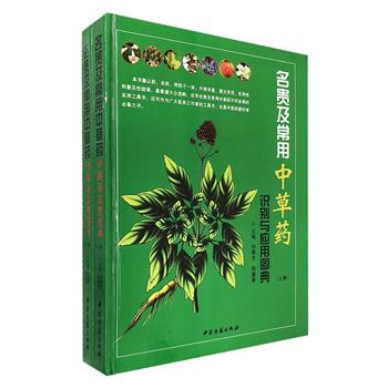 《名贵及常用中草药识别与应用图典》精装全2册，铜版纸全彩，从中草药宝库中精选当前常用的228种名贵及常用中草药，每种均配有高清照片，详细介绍了每种中草药的别名、来源、形态特征、生境分布、采收加工、性味归经、功效主治和用量用法，并收录了各种名贵中草药的精选单方验方、传统药膳、使用禁忌，每种名贵中草药还配有知识链接录附其传说趣话及治病小常识，内容丰富，实用性强，集认药、采药、用药于一体，定价598元，现团购价89元包邮！