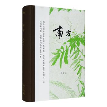 《南方》全一册，32开布面书脊硬精装，这是一部创作跨度13年的长篇小说，吸纳使用吴语。主人公是浙北地区的乡镇少年，孙智正截取了他们自幼时至高考志愿填报为止的生涯，以平铺直叙的方式呈现。小说愉快、单纯，具有惊人的延展能力，以一种浅明而无可限量的方式契合了“现实”，这是一股令人振奋和惊叹的流体，展示着崭新、自由的当代汉语气象。定价82元，现团购价36元包邮！