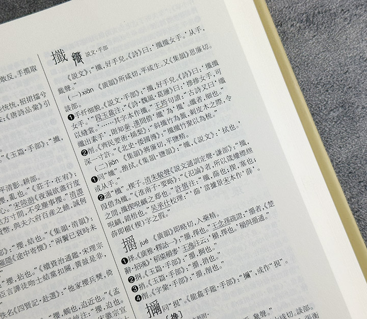 汉语大字典-九卷本-第二版》 - 淘书团