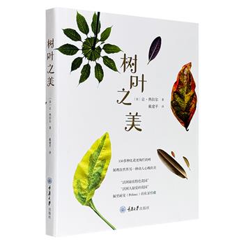充满诗意的自然观察笔记！《树叶之美》，16开精装，特种纸全彩，通过细腻文字、高清照片记录了150多种叶片的生长发育，完美呈现树叶别样美丽，给你一场美妙的田园之旅