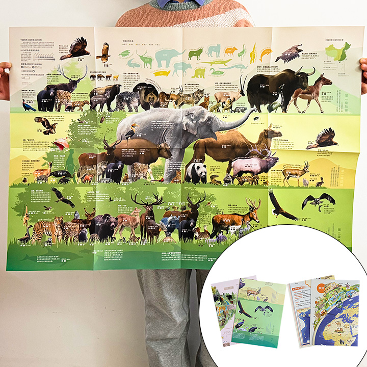 超低价6.9元！能看、能读、能听的高清地图《动物地图：中国》/《手绘地理挂图：中国+世界》任选！每种地图共2张，每幅尺寸86cm×60cm，比地理教科书更精美、细致、直观的绘图，带孩子了解130+种动物，看遍中国动物多样之美；让孩子看懂地图，全方位了解中国和世界。