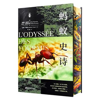 【2025年4月出版】喷绘版《蚂蚁史诗》精装，法国著名昆虫专家执笔，援引海量科学实证资料，引领读者深入探索蚂蚁的奇妙王国，全面认知分布于世界各地的各类蚂蚁物种。