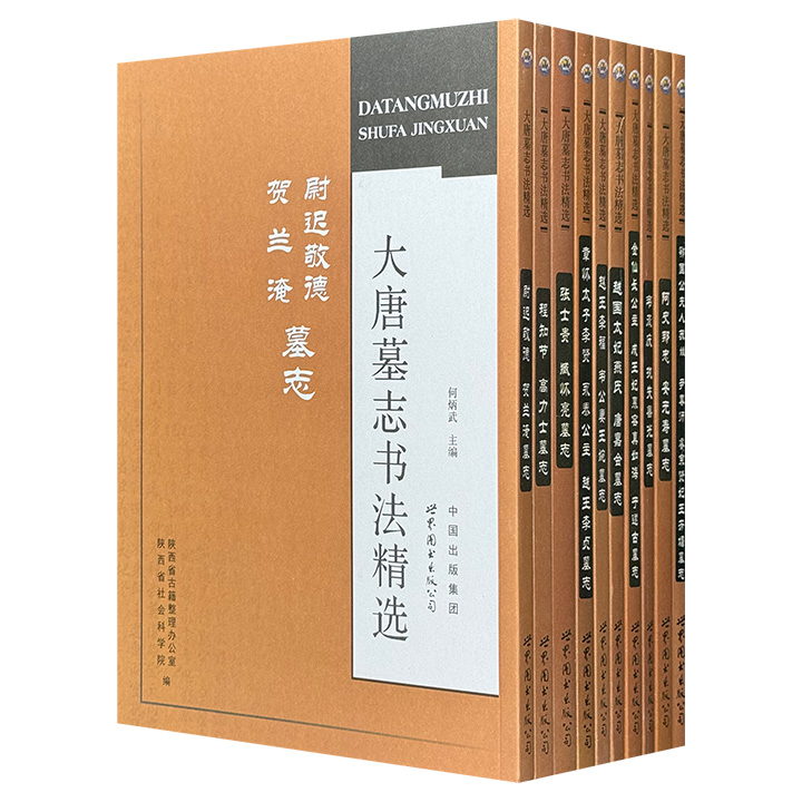 “大唐墓志书法精选”全10册，大16开本，收录唐代名人尉迟敬德、高力士、阿史那忠、安元寿、张士贵、臧怀亮以及皇室章怀太子李贤、永泰公主、金仙公主等人之墓志。