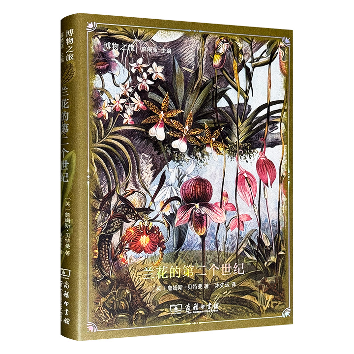 19世纪西方精美兰花图谱！商务印书馆《兰花的第二个世纪》，16开精装，特种纸全彩图文，100幅兰花手绘佳作，涵盖世界各地品种，呈现其瑰丽面貌、特征故事等迷人魅力