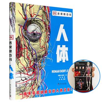 超大超震撼！世界科普名社出品《DK透视眼百科：人体》，8开精装，铜版纸全彩，日历式线圈装订，通过栩栩如生的3D人体图搭配透明PVC胶片，详细展示了人体各个器官的构造，呈现出一个前所未见的人体世界。