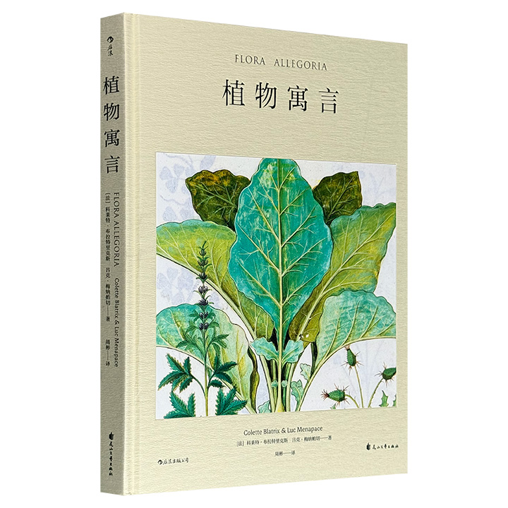 殿堂级植物画大观！《植物寓言》大16开精装，100幅精美植物画全彩呈现，跨越500年的馆藏珍品，从中世纪医典抄本、文艺复兴时期的口袋书，到欧洲贵族的《祈祷书》、各类《植物图谱》，更有别具一格的中国画。植物学史、艺术史、出版史融汇于此，带你开启有历史感的植物之旅！
