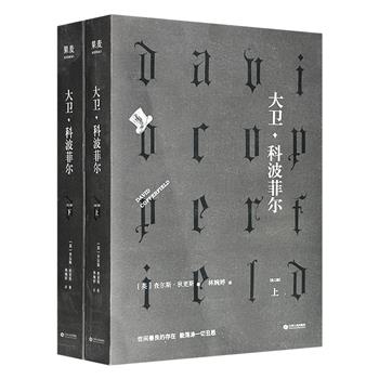 世界文学名著《大卫·科波菲尔》全两册，林婉婷译本，豆瓣8.9分，837页，英国大文豪狄更斯的经典代表作，一部具有强烈自传色彩的长篇小说，全面描绘19世纪维多利亚时代英国社会的广阔画卷(微瑕)