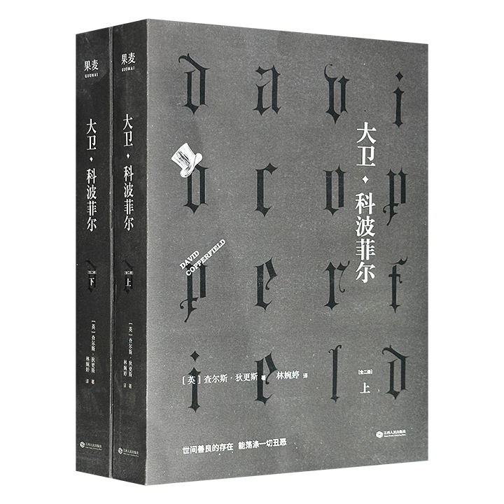 世界文学名著《大卫·科波菲尔》全两册，林婉婷译本，豆瓣8.9分，837页，英国大文豪狄更斯的经典代表作，一部具有强烈自传色彩的长篇小说，全面描绘19世纪维多利亚时代英国社会的广阔画卷(微瑕)