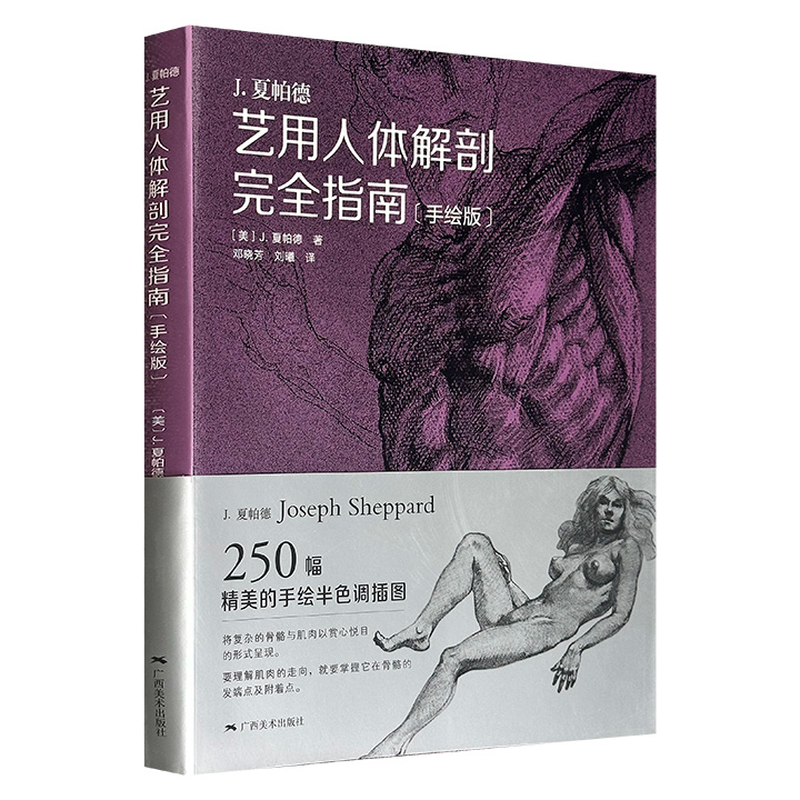 大16开《艺用人体解剖完全指南（手绘版）》，无光铜版纸印刷，马里兰艺术学院教授J.夏帕德编写，250幅精美手绘半色调插图，将复杂的骨骼与肌肉以赏心悦目的形式呈现，全面阐释人体各部位解剖特征在绘画实践中的应用。